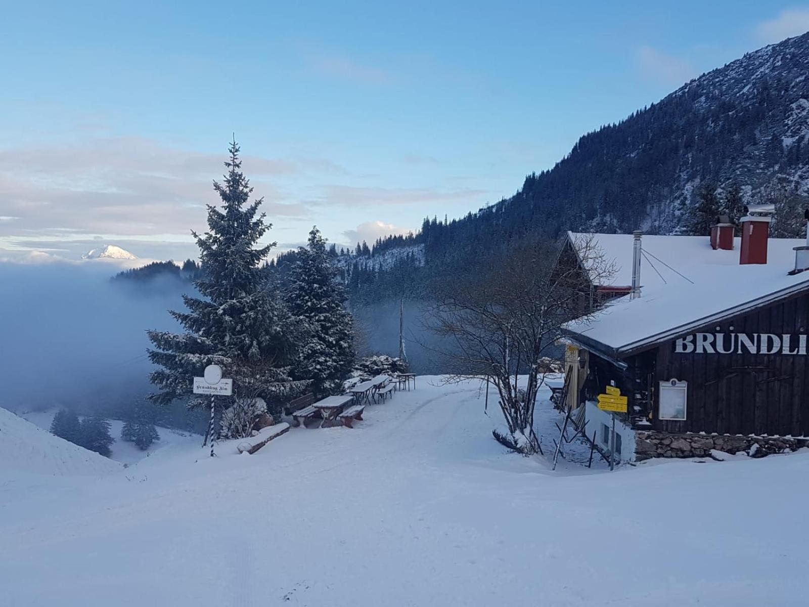 Bruendling-Alm Berggasthof Auf 1167M Auf Dem Hochfelln Bergen  Buitenkant foto