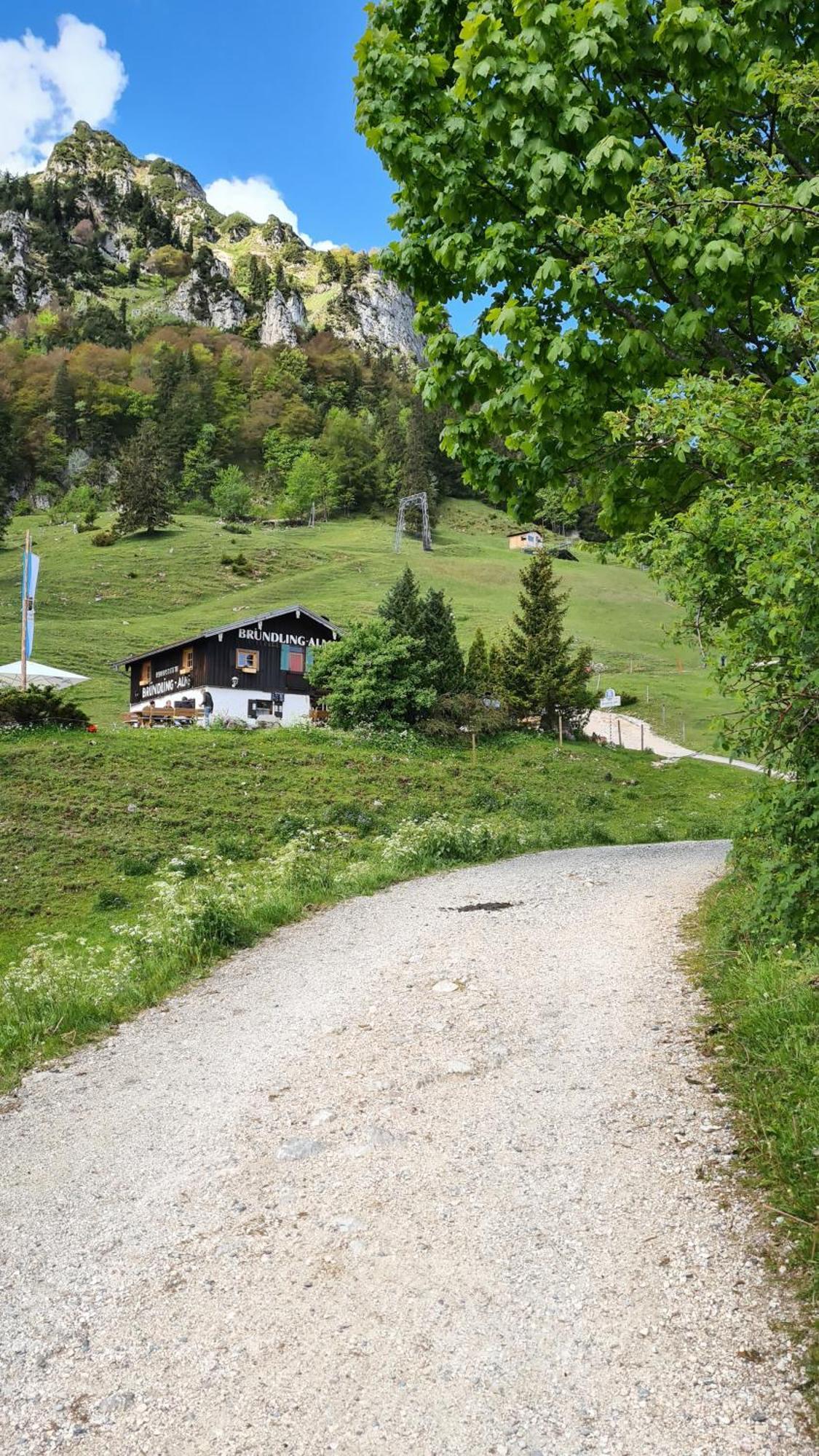 Bruendling-Alm Berggasthof Auf 1167M Auf Dem Hochfelln Bergen  Buitenkant foto